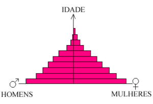 Como Funciona a Pirâmide Etária no Brasil