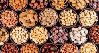 Gorduras boas: quais são e quanto consumir