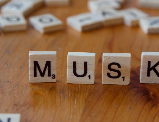 Entendendo o Ranking dos Bilionários: Como a Fortuna de Elon Musk é Avaliada