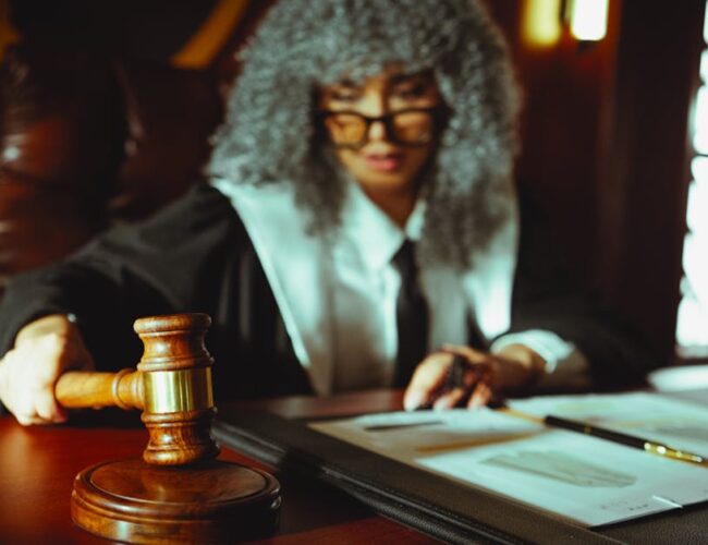 Entendendo o Funcionamento da Justiça e as Consequências para a Sociedade