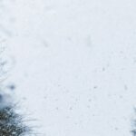 preparo para mudanças climáticas — A scenic winter road with cars driving through a snowstorm, surrounded by frosty trees.