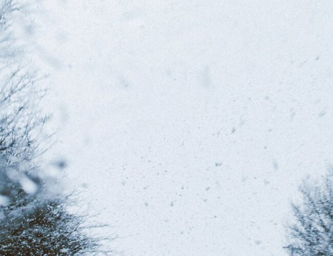 Como se Preparar para Mudanças Climáticas e Eventos Meteorológicos no Brasil