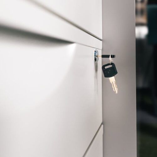 Como Planejar e Organizar Documentos Importantes para Facilitar o Acesso em Situações de Emergência