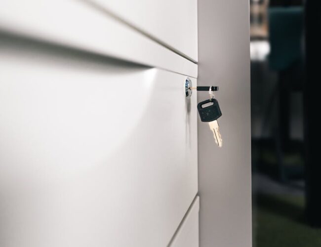 Como Planejar e Organizar Documentos Importantes para Facilitar o Acesso em Situações de Emergência