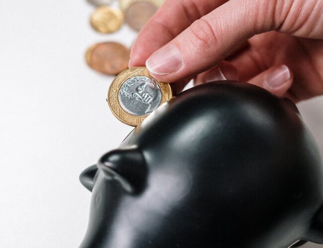 Como Proteger seus Investimentos Previdenciários de Riscos Financeiros