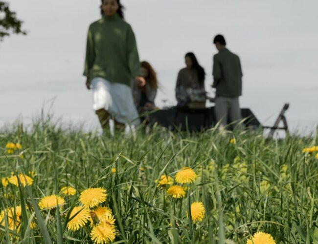 Como os Povos Indígenas Isolados do Brasil Vivem e a Importância de sua Proteção