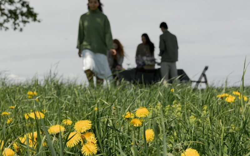 povos indígenas isolados — A group enjoying a picnic in a grassy field with blooming yellow dandelions under an overcast sky.