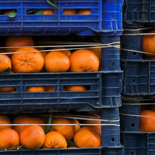 Acordo Mercosul-União Europeia: O Que Muda para o Brasil e Seu Impacto na Economia