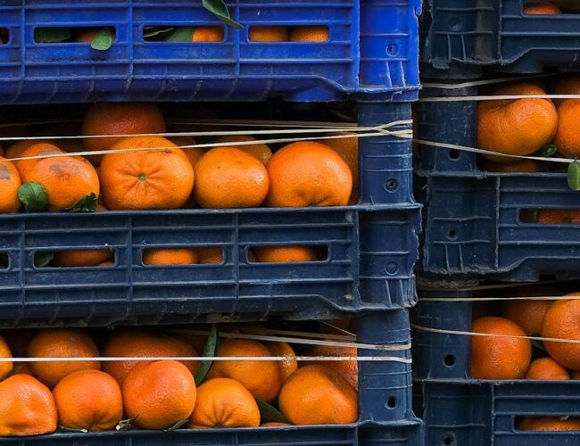 Acordo Mercosul-União Europeia: O Que Muda para o Brasil e Seu Impacto na Economia