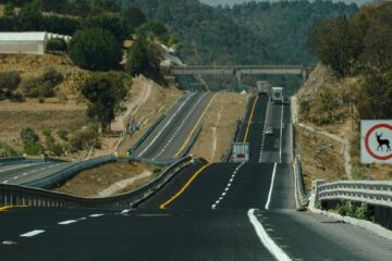 Prevenção de Acidentes com Animais Silvestres na Estrada: Como Agir e Proteger a Vida