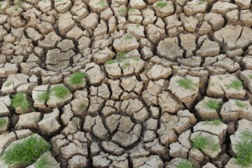 Como o Fenômeno El Niño Pode Impactar o Clima e a Segurança Alimentar em 2026