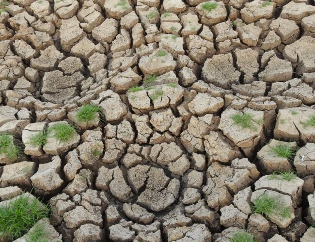 Como o Fenômeno El Niño Pode Impactar o Clima e a Segurança Alimentar em 2026