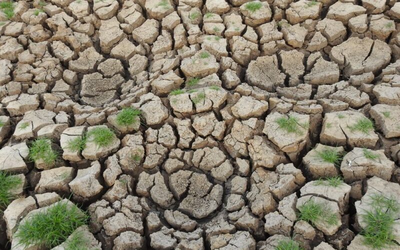 Fenômeno El Niño 2026 — Arid cracked soil with sparse green grass growth showcasing drought conditions.